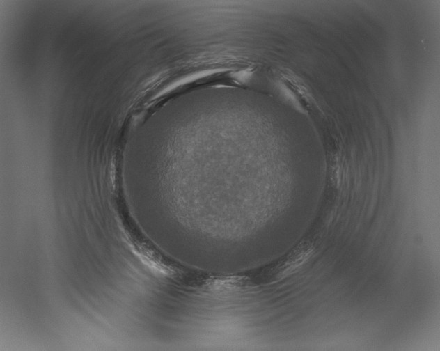 X0000051240072200507011637