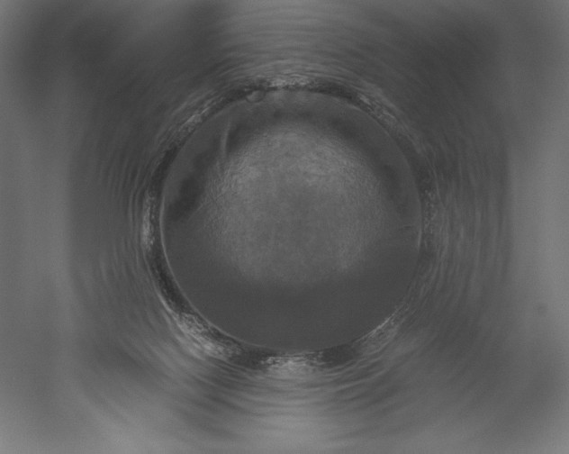 X0000051240074200507011637