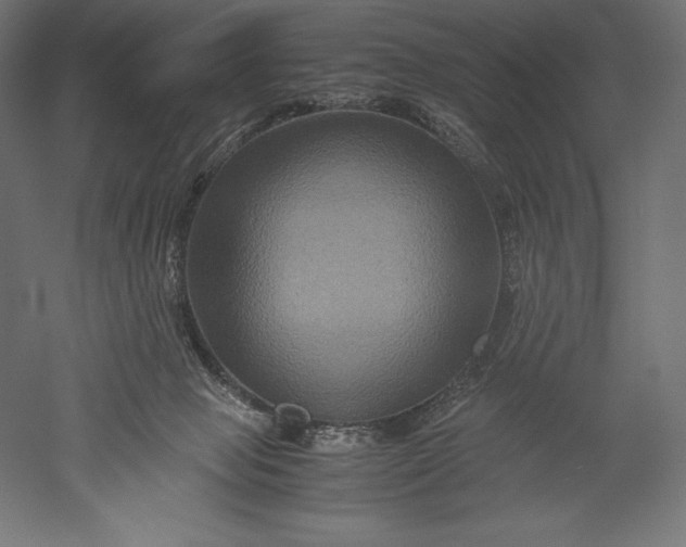 X0000051240077200507011637