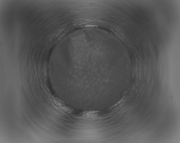 X0000051240078200507011637