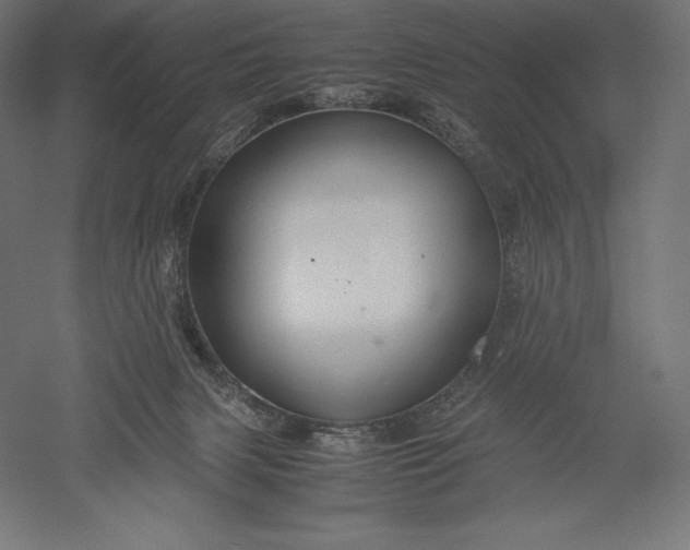 X0000051240079200507011637