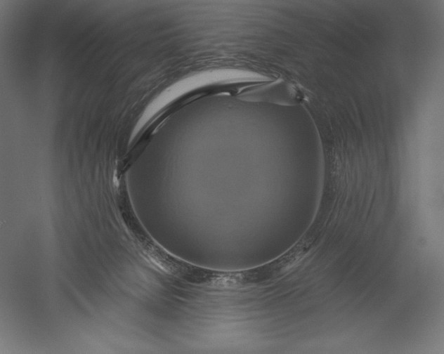 X0000051240080200507011637