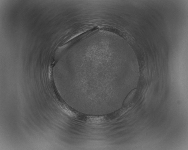 X0000051240081200507011637