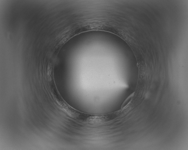 X0000051240082200507011637