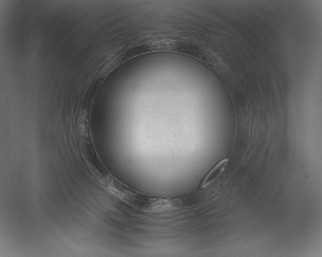 X0000051240083200507011637