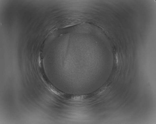 X0000051240084200507011637