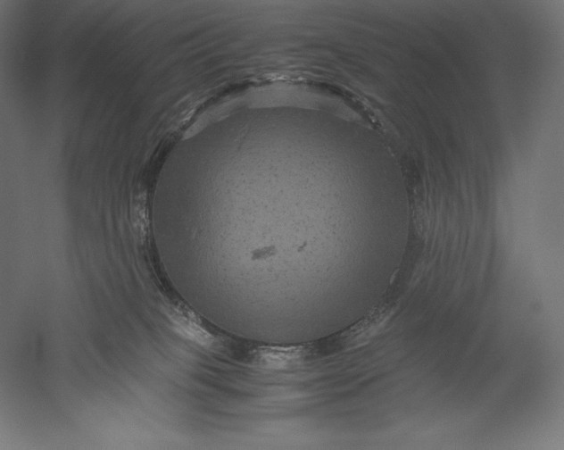 X0000051240085200507011637