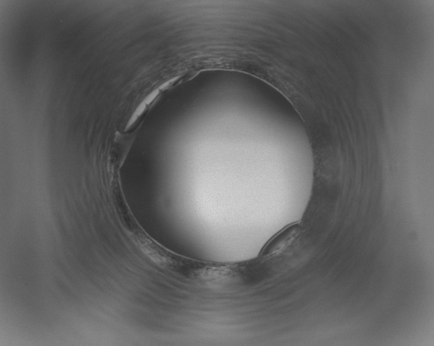 X0000051240086200507011637