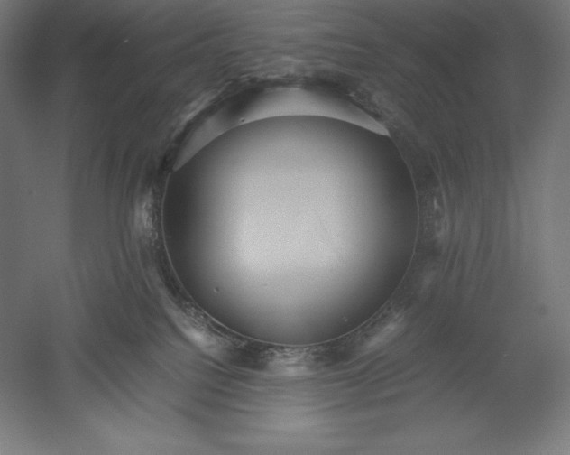 X0000051240088200507011637