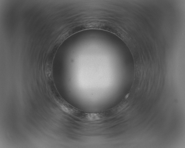 X0000051240091200507011637