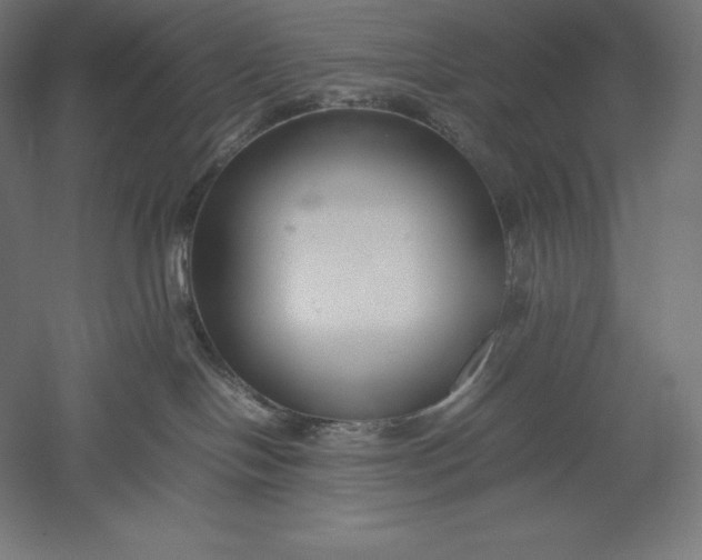 X0000051240094200507011637