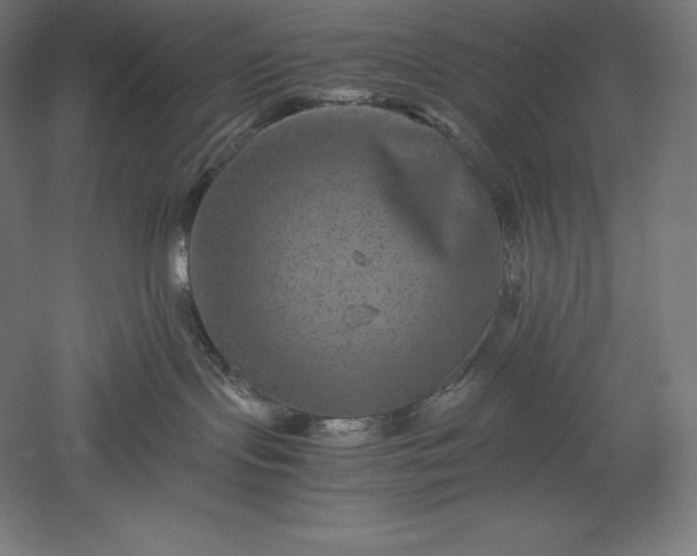 X0000051240095200507011637