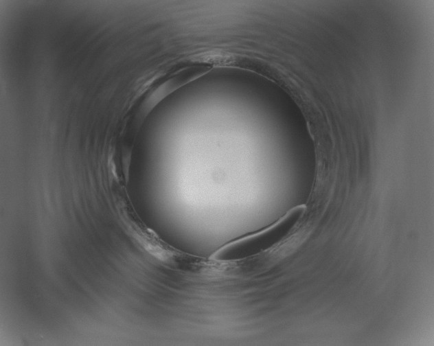 X0000051240096200507011637