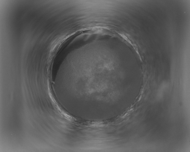 X0000051240097200507011636