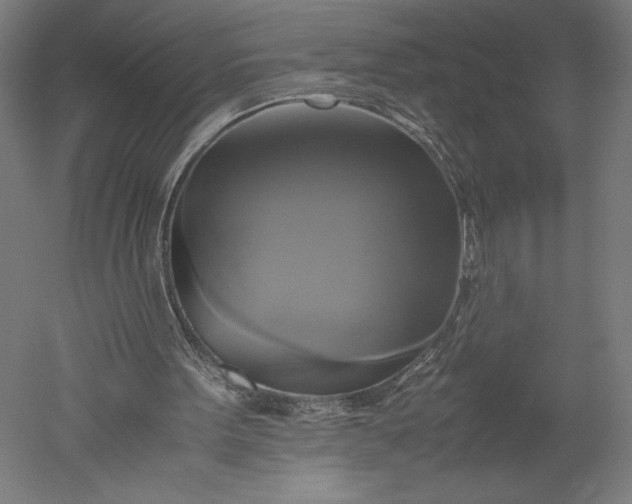 X0000051240099200507011636