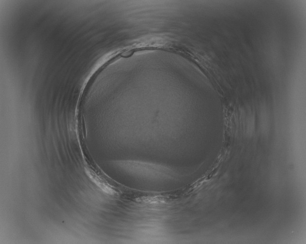 X0000051240100200507011636