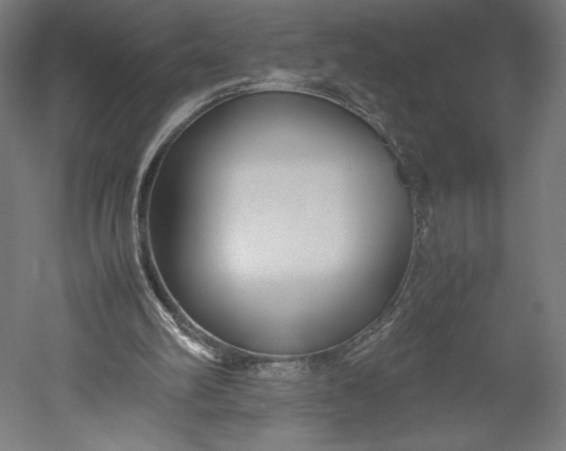 X0000051240102200507011636