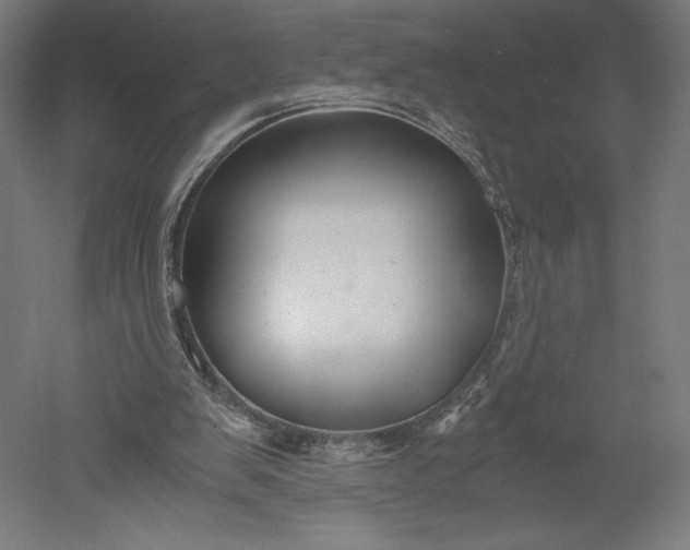 X0000051240103200507011636