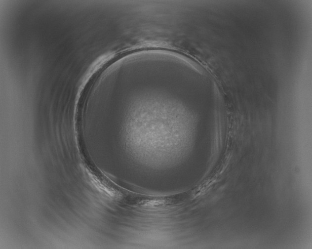 X0000051240104200507011636