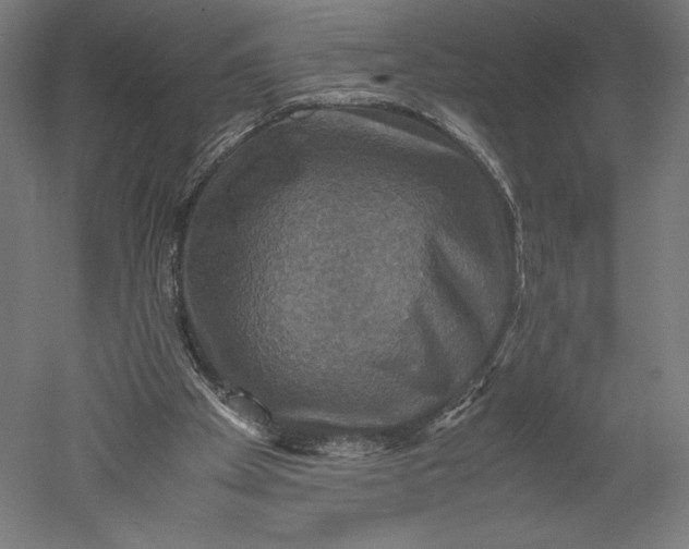 X0000051240105200507011636