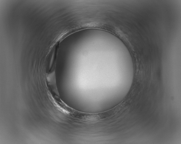 X0000051240106200507011636