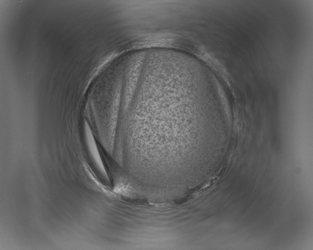 X0000051240107200507011636