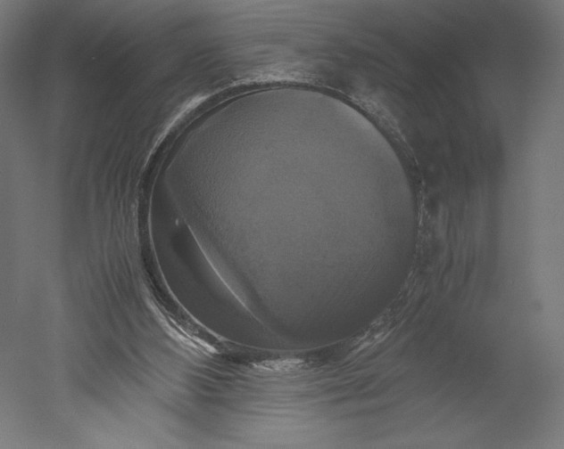 X0000051240108200507011636