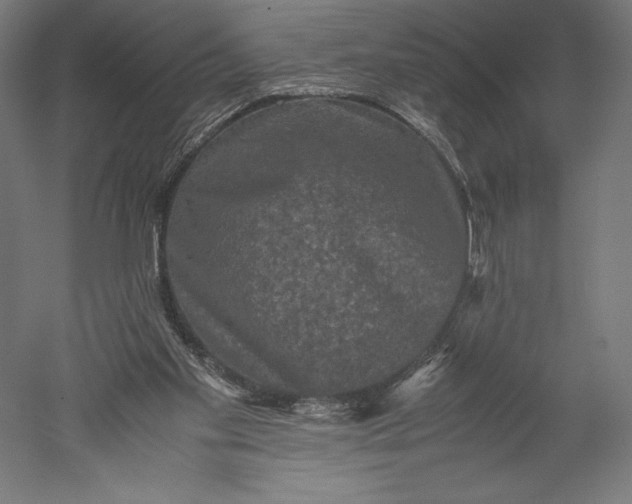 X0000051240109200507011636