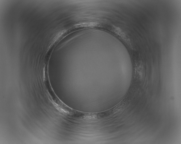 X0000051240110200507011636