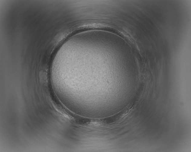 X0000051240111200507011636