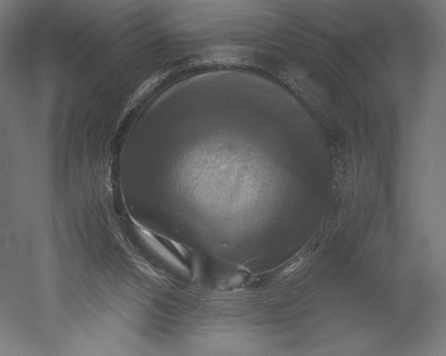 X0000051240112200507011636