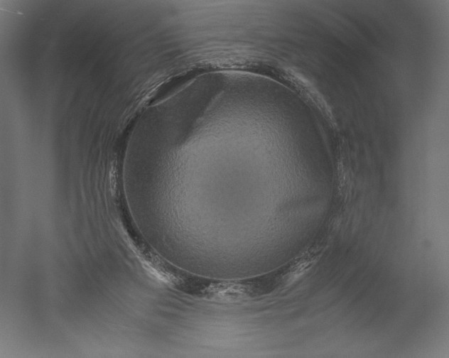 X0000051240113200507011636