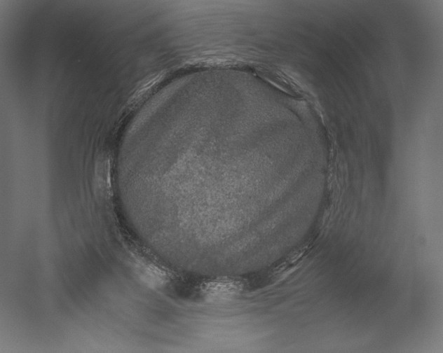 X0000051240115200507011636