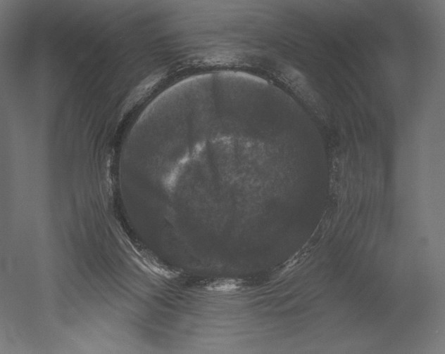 X0000051240116200507011636