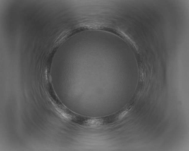 X0000051240117200507011636