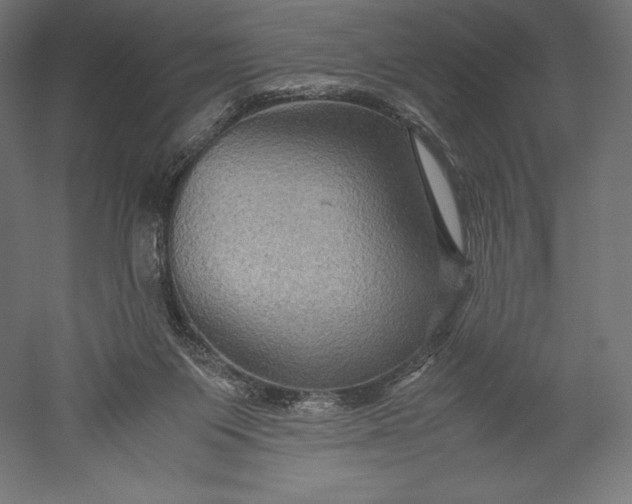 X0000051240119200507011636