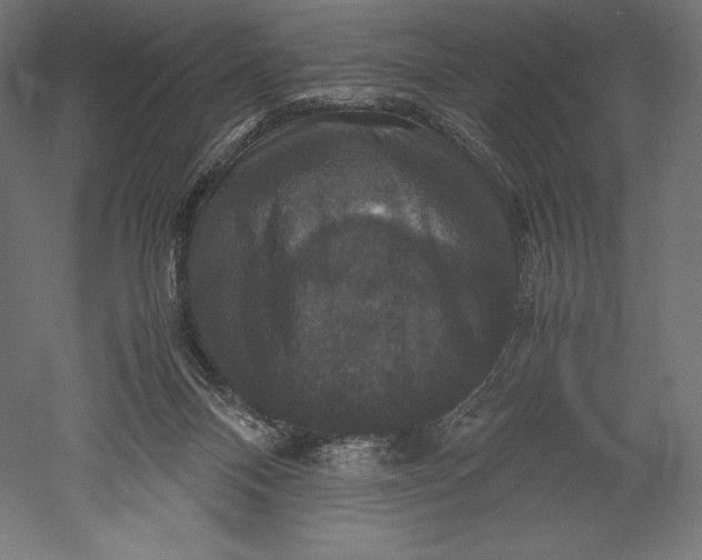 X0000051240120200507011636