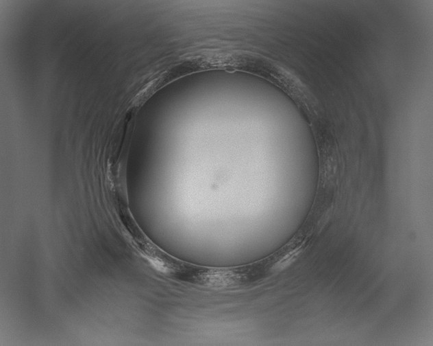 X0000051240121200507011636