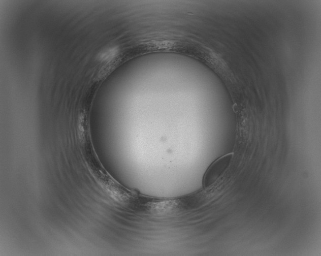 X0000051240122200507011636