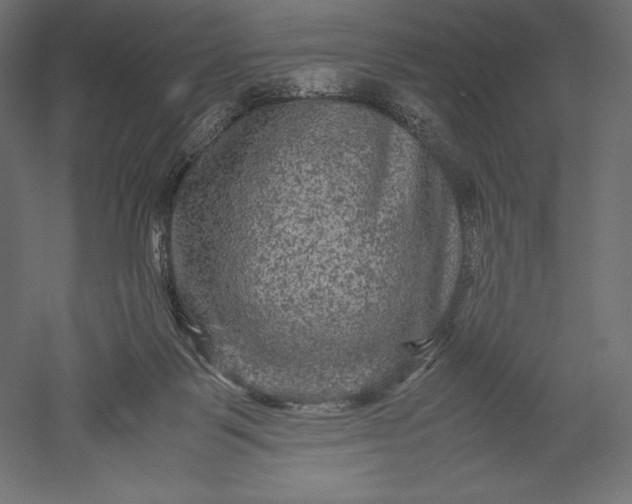 X0000051240123200507011636