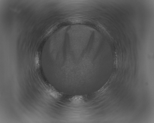 X0000051240124200507011636