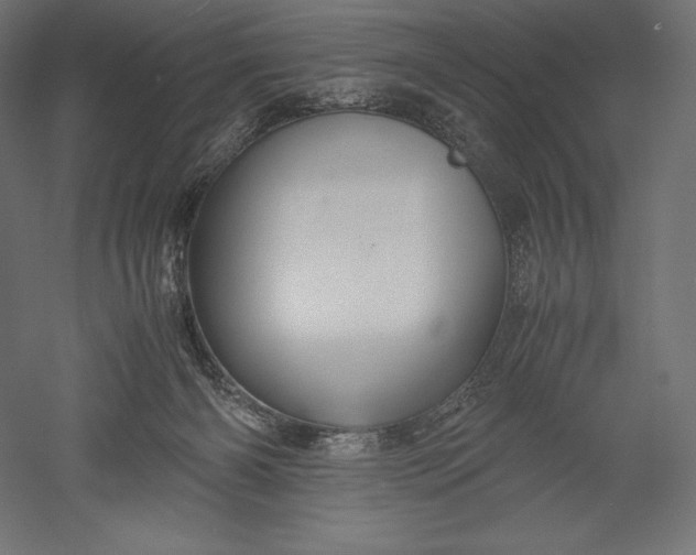 X0000051240126200507011636