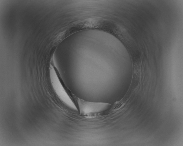 X0000051240127200507011636