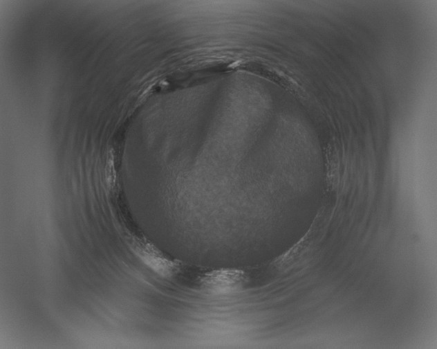 X0000051240128200507011636