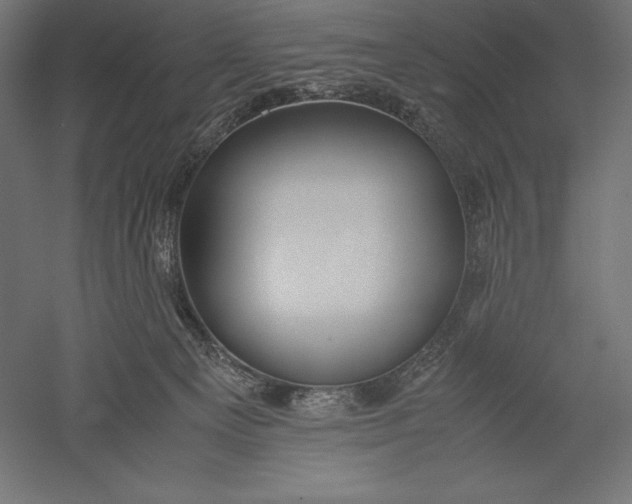 X0000051240129200507011636