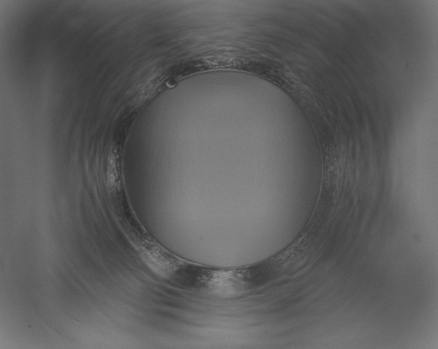 X0000051240130200507011636