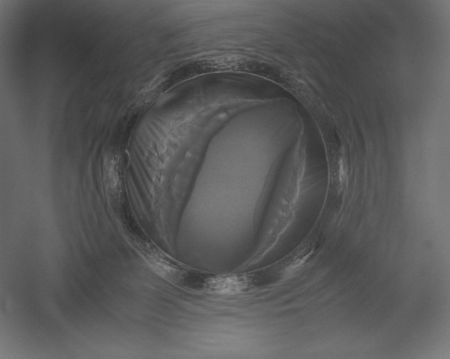 X0000051240131200507011636