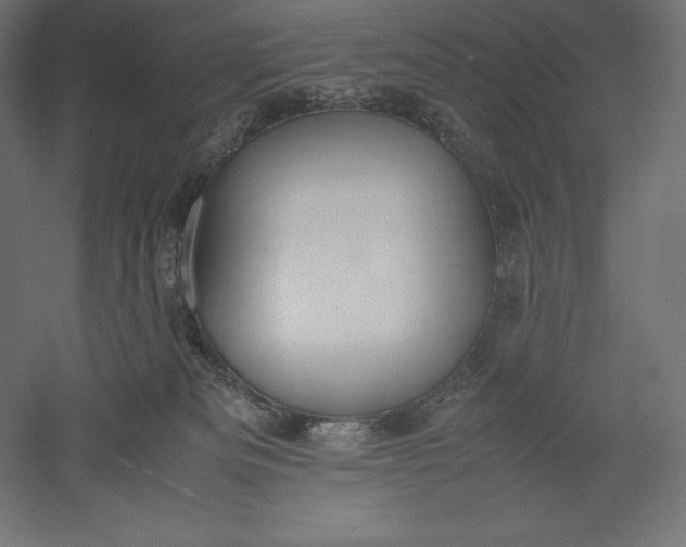 X0000051240133200507011636