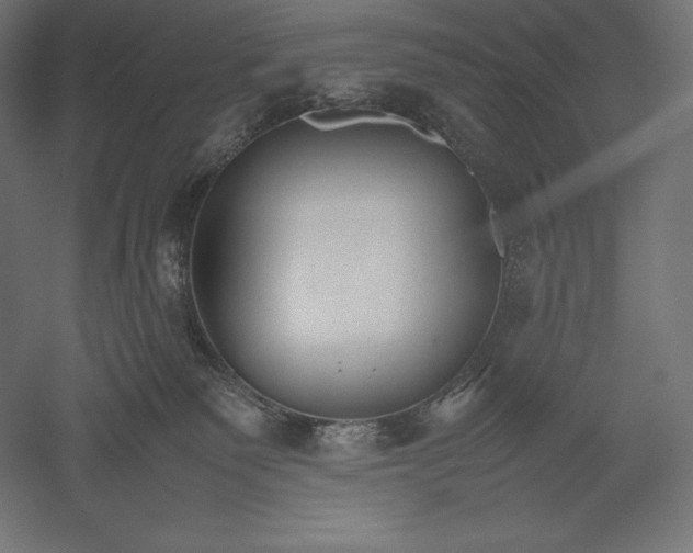 X0000051240135200507011636