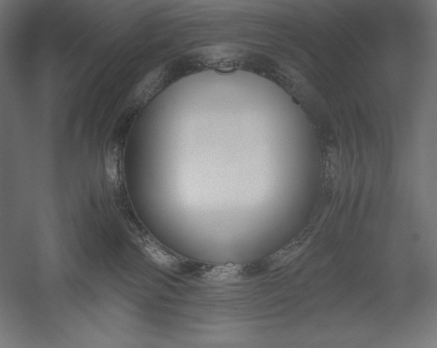 X0000051240138200507011636